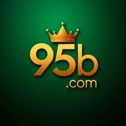 95b.com